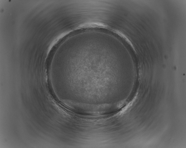 X0000074340973200608251347