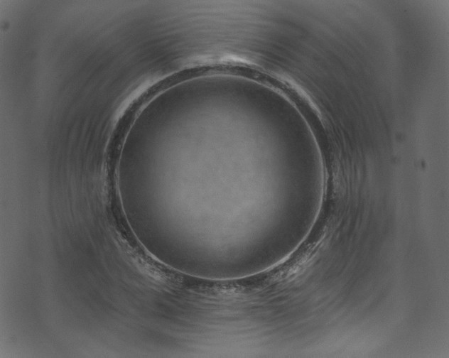 X0000074340975200608251347