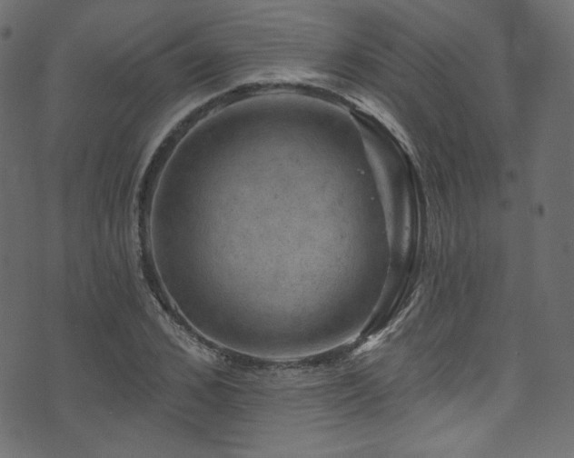 X0000074340976200608251346