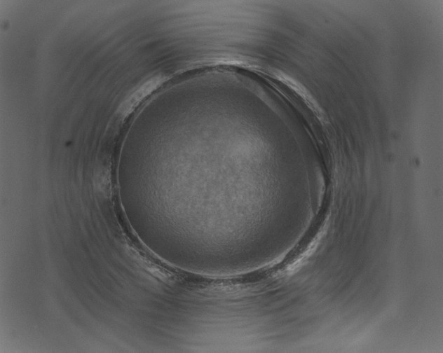 X0000074340977200608251346