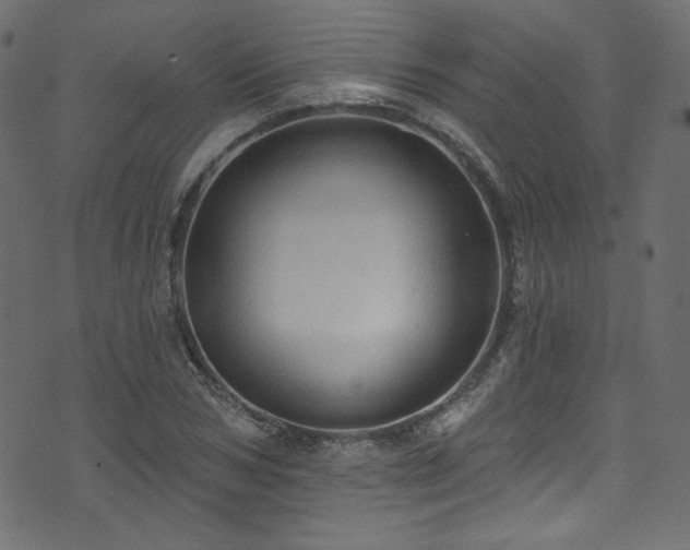 X0000074340978200608251346