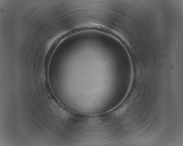 X0000074340979200608251346