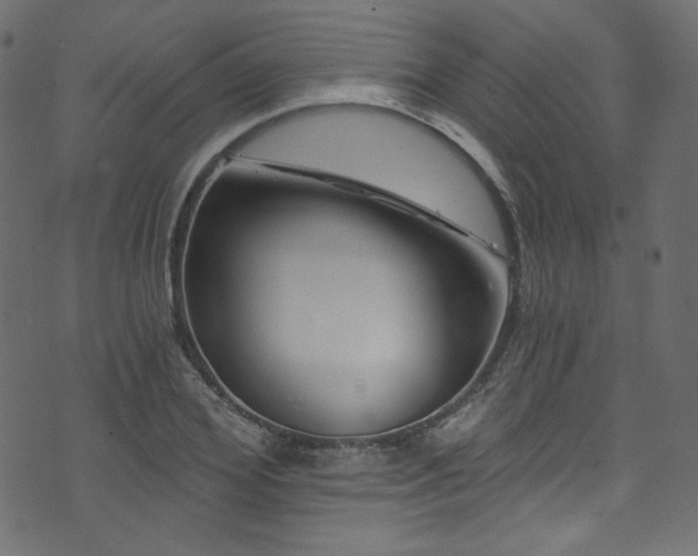 X0000074340980200608251346