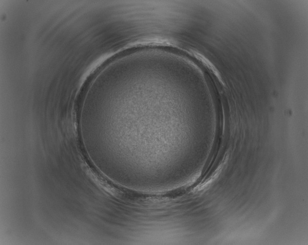 X0000074340981200608251346