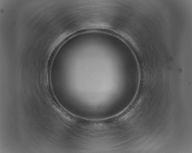 X0000074340982200608251346