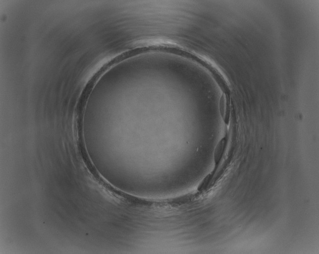 X0000074340983200608251346