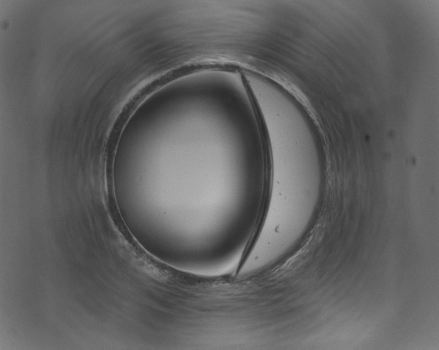 X0000074340984200608251346