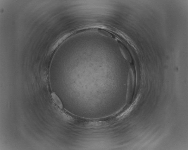 X0000074340985200608251346