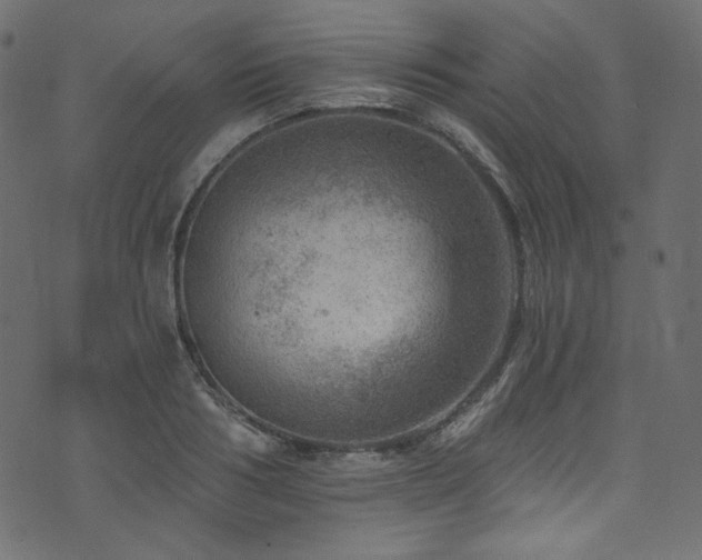 X0000074340986200608251346