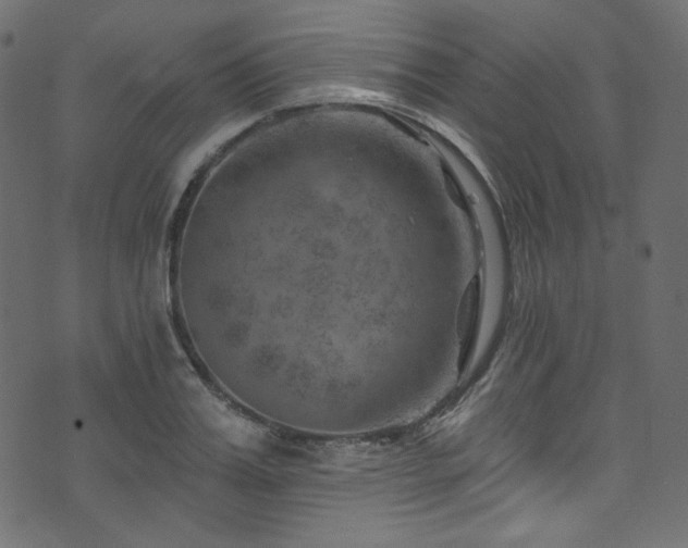 X0000074340987200608251346