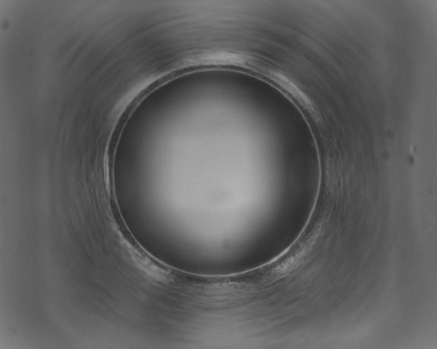 X0000074340988200608251346