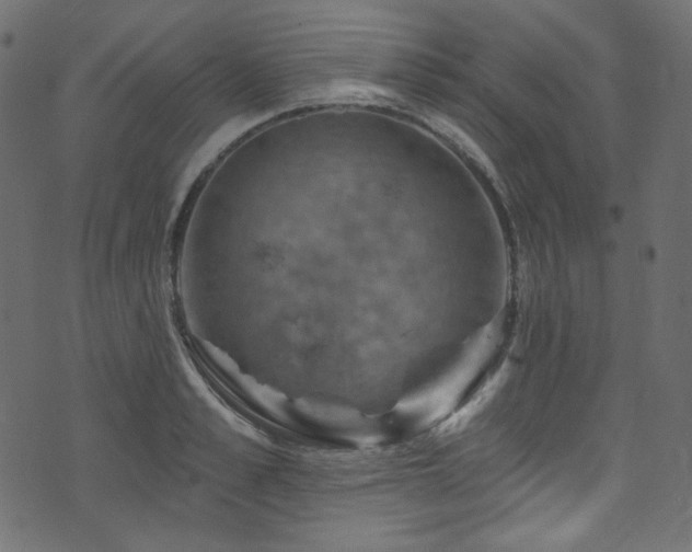 X0000074340989200608251346