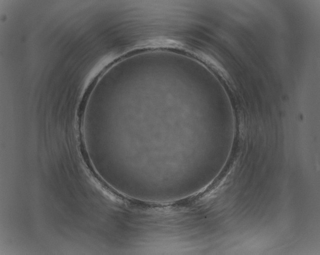 X0000074340990200608251346