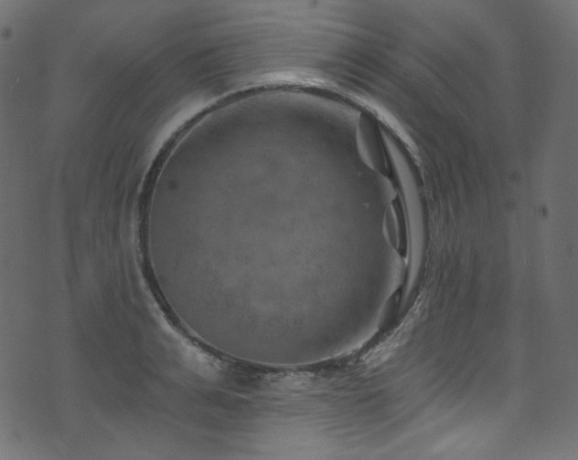 X0000074340991200608251346