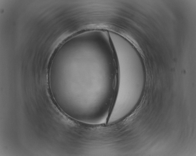 X0000074340992200608251346