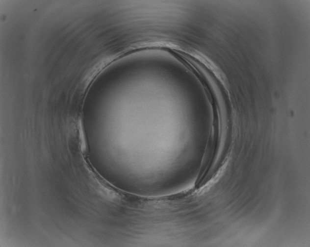 X0000074340993200608251346