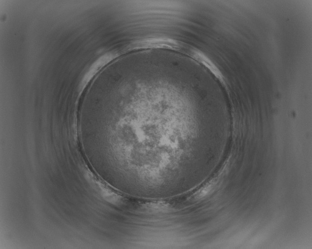 X0000074340994200608251346