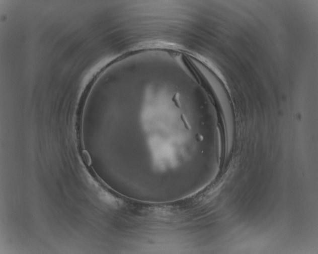 X0000074340995200608251346