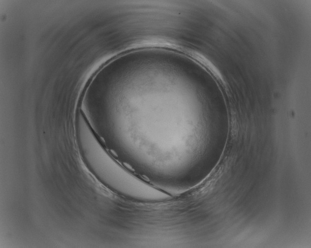 X0000074340996200608251346