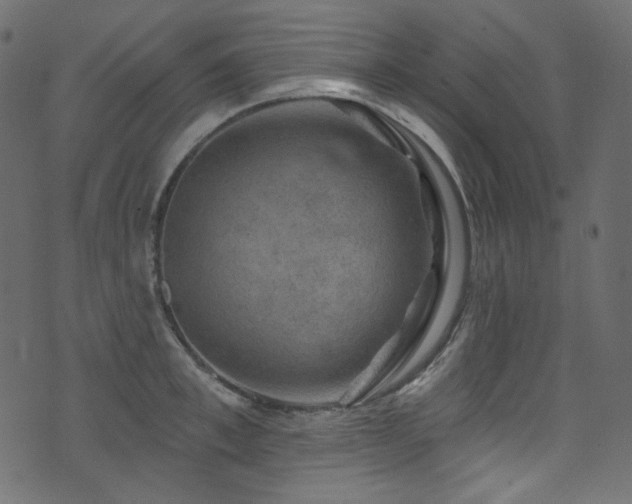 X0000074340997200608251346