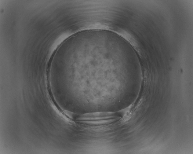 X0000074340998200608251346