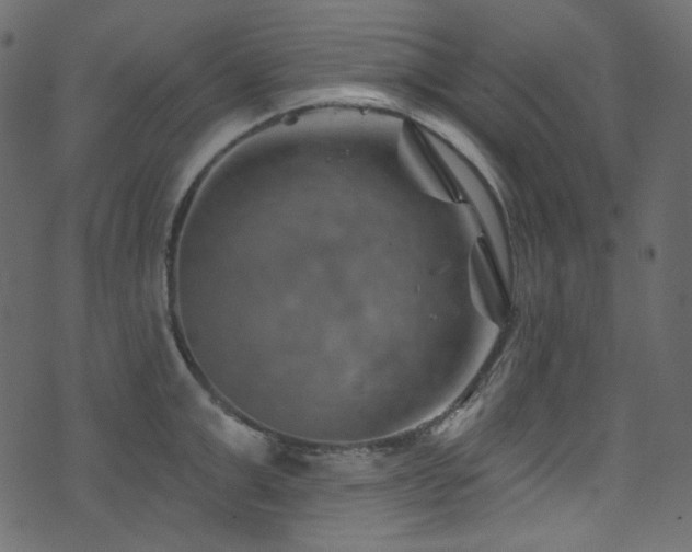 X0000074340999200608251346