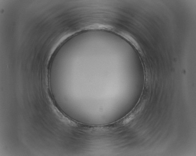 X0000074341000200608251346