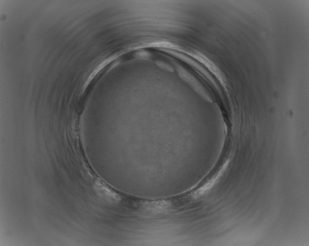 X0000074341001200608251346