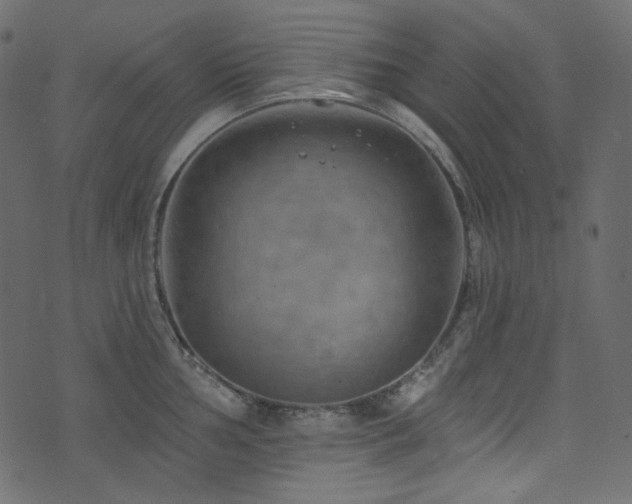 X0000074341002200608251346