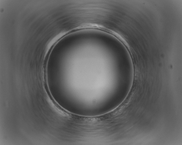 X0000074341003200608251346