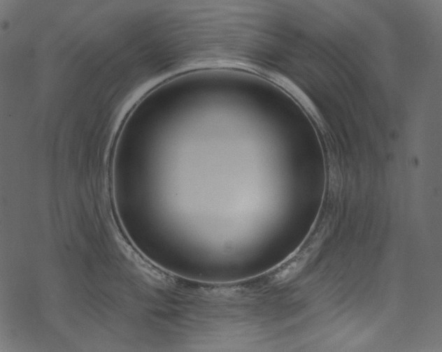 X0000074341004200608251346