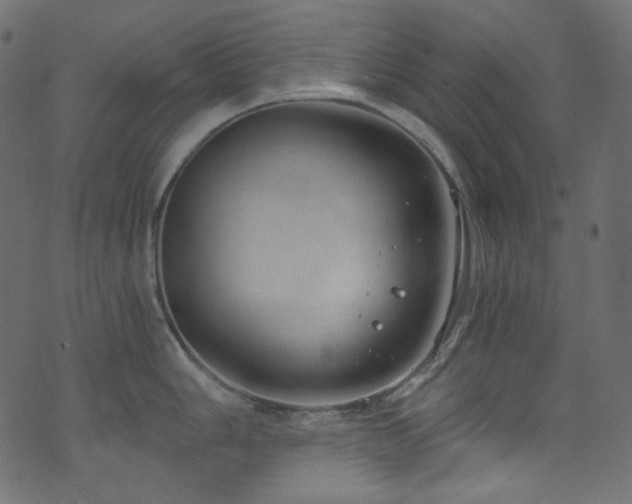 X0000074341006200608251346