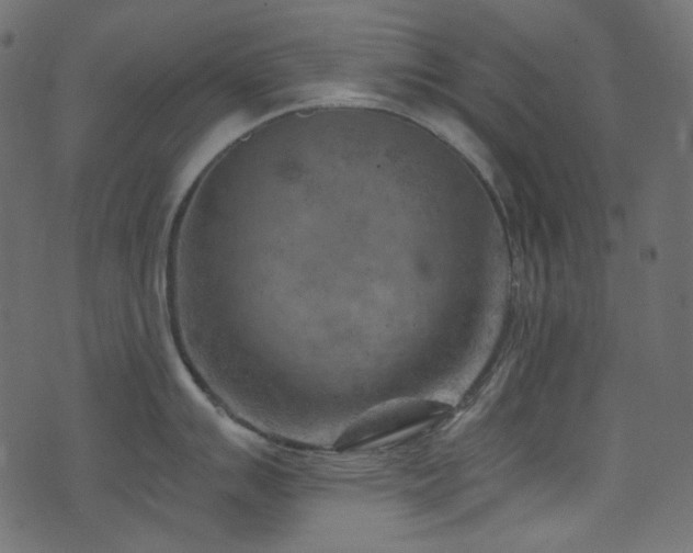 X0000074341007200608251346