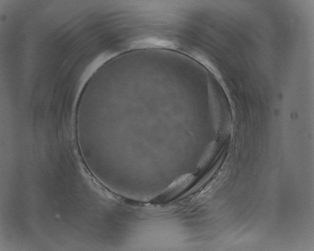 X0000074341008200608251346