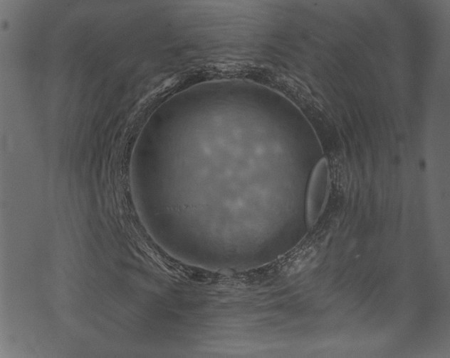 X0000074341009200608251345