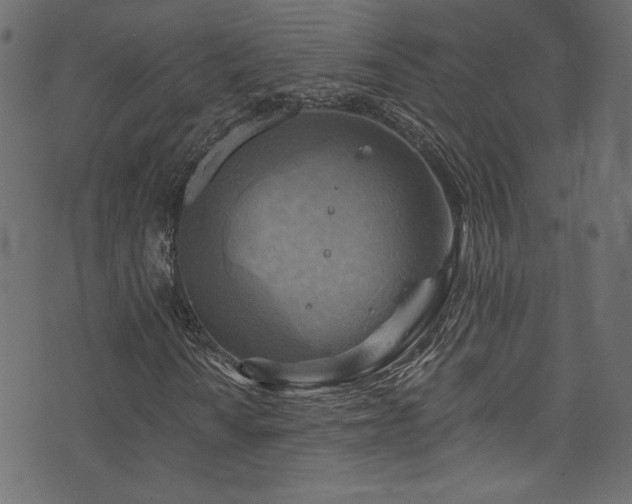 X0000074341010200608251345