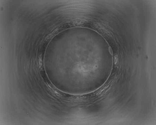 X0000074341011200608251345