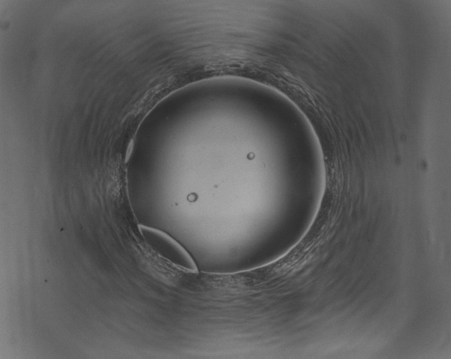 X0000074341012200608251345