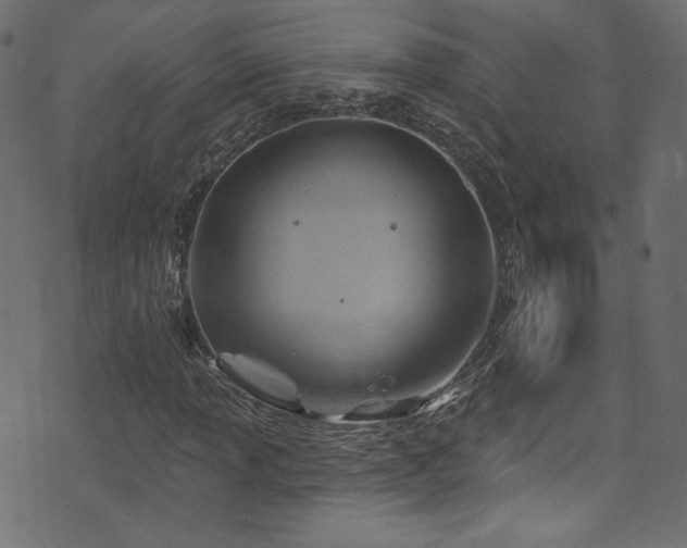 X0000074341013200608251345