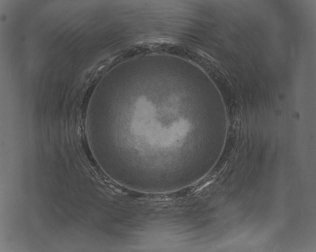 X0000074341014200608251345