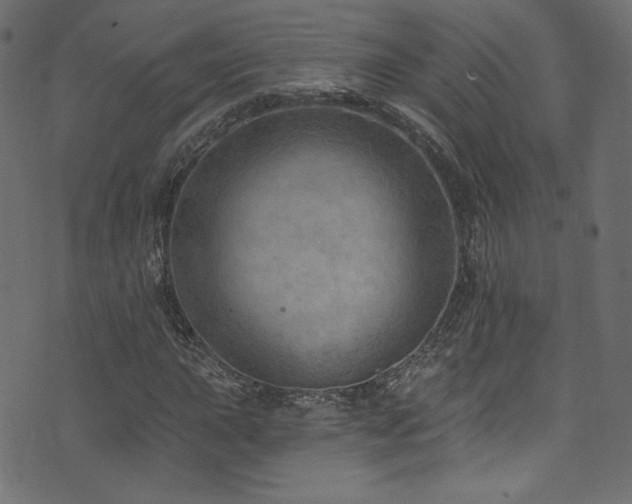 X0000074341015200608251345