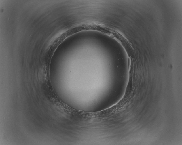 X0000074341016200608251345