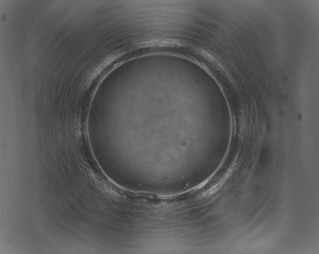 X0000074341017200608251345