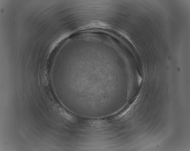 X0000074341018200608251345