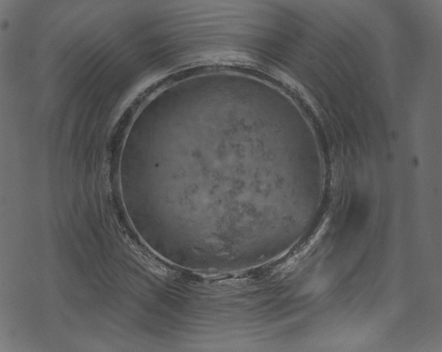 X0000074341019200608251345