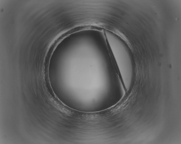 X0000074341020200608251345