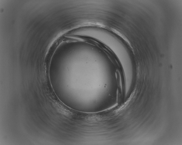 X0000074341021200608251345