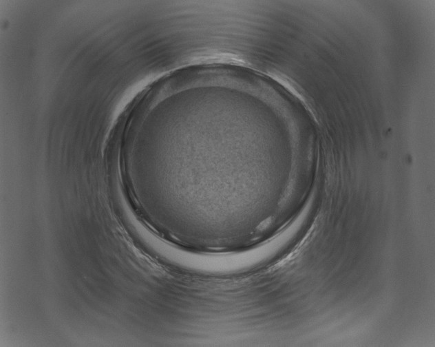 X0000074341022200608251345