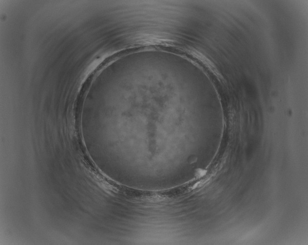 X0000074341023200608251345