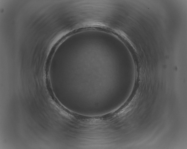 X0000074341024200608251345